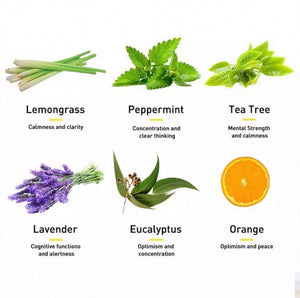 Tea Tree Therapeutic Fragrance Oil